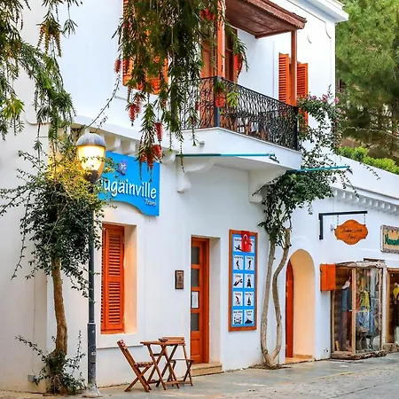 Mavi Kiyi Hotell